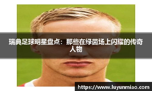 瑞典足球明星盘点：那些在绿茵场上闪耀的传奇人物